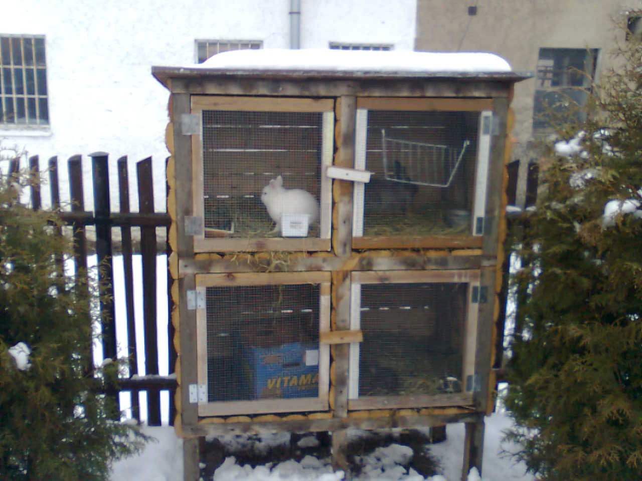 Obraz013.jpg